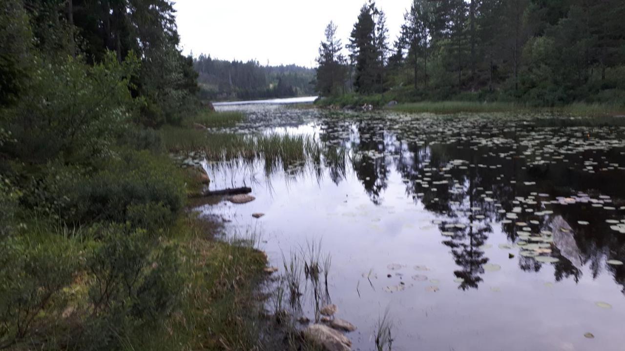 Granheim Hytte Med 2 Soverom Birkeland Kültér fotó